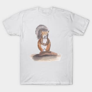 Hand drawn squirrel using pen and ink and watercolors T-Shirt